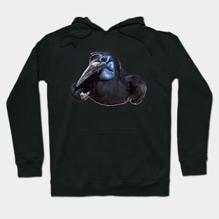 Abyssinian Ground Hornbill Hoodie